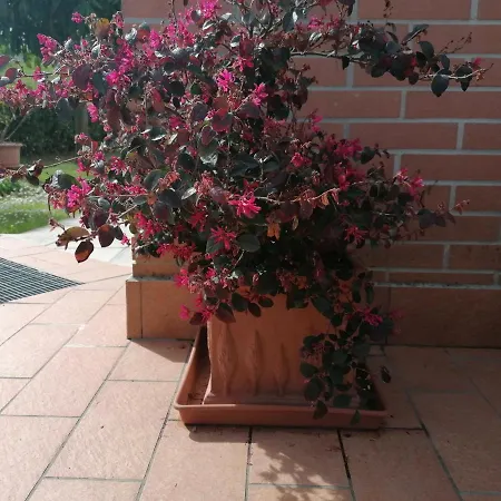 Goccia In Valdorcia Smart Home San Quirico d'Orcia Exterior photo