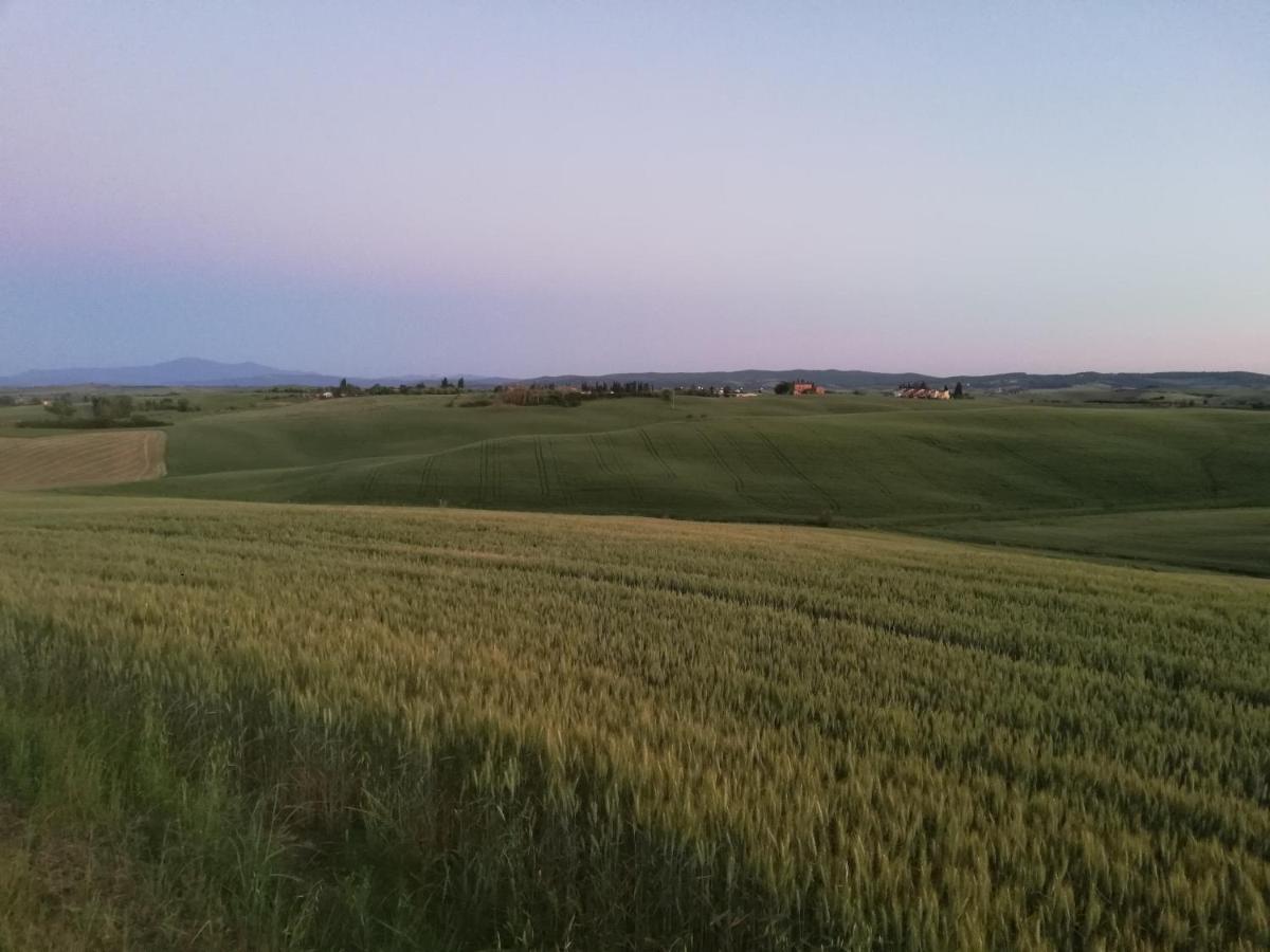 Apartment Goccia In Valdorcia Smart San Quirico d'Orcia