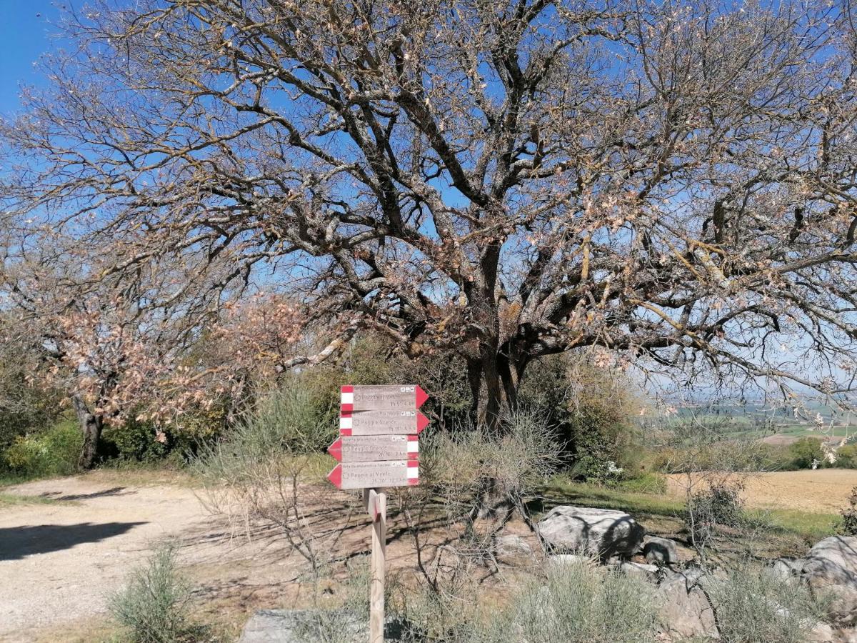 Goccia In Valdorcia Smart